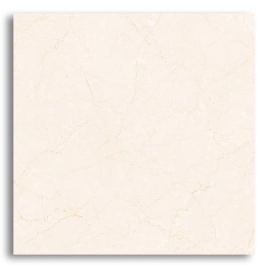 CERAMICA TIPO A 46X46CM CX 2,30M2 MANAUS BEGE CERBRAS